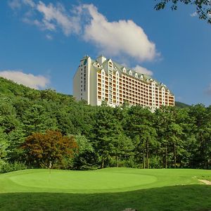 Yangji Pine Resort